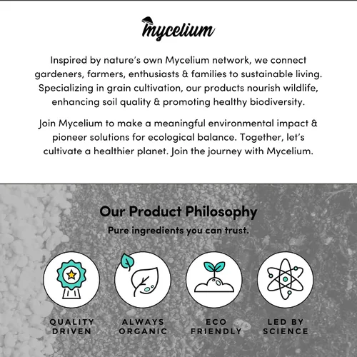 Vista 8 de Mycelium Kit de cultivo de hongos Plus I Sustrato CVG (fibra de coco, vermiculita, yeso) Mezcla patentada para cultivo de alto rendimiento, bolsa
