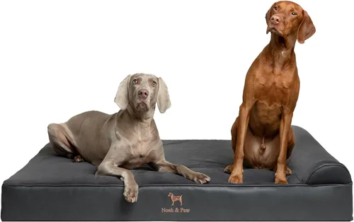 Vista 11 de NOAH & PAW Cama pequeña para perros, 20 x 15 x 6.5 pulgadas, cama para gatos de interior, espuma viscoelástica ortopédica de cáscara de huevo Verde