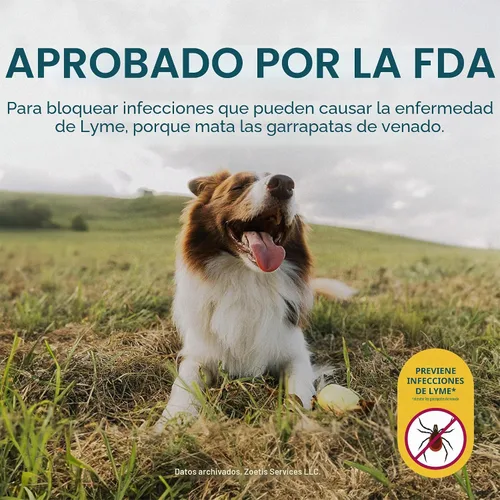 Vista 5 de Simparica (sarolaner) Masticables para perros, 120 mg/tab, 88.1-132 libras (marrón), 6 tabletas
