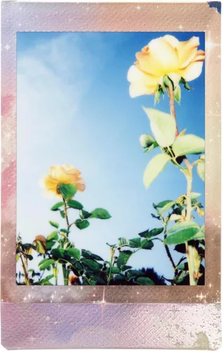 Vista 5 de Película instantánea Fujifilm instax mini Pastel Galaxy - 10 exposiciones