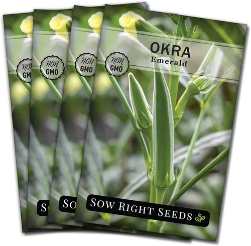 Vista 9 de Sow Right Seeds - Semillas de okra esmeralda para plantar - Paquete de reliquia sin OMG con instrucciones para plantar un huerto casero - Cápsulas