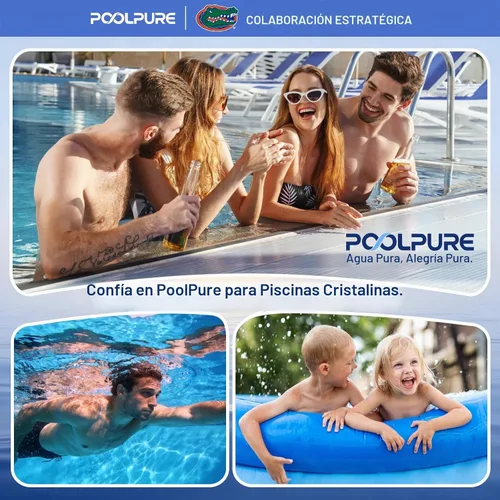 Vista 9 de POOLPURE Filtro de piscina PXST150 reemplaza a Hayward X-Stream CC1500 1PACK