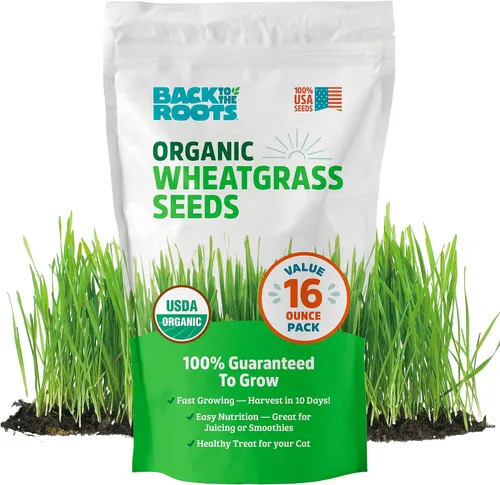 Vista 11 de Back to The Roots Semillas de alfalfa 100% orgánicas 1 libra sin transgénicos Densas en nutrientes, fáciles de cultivar, ricas en fibra