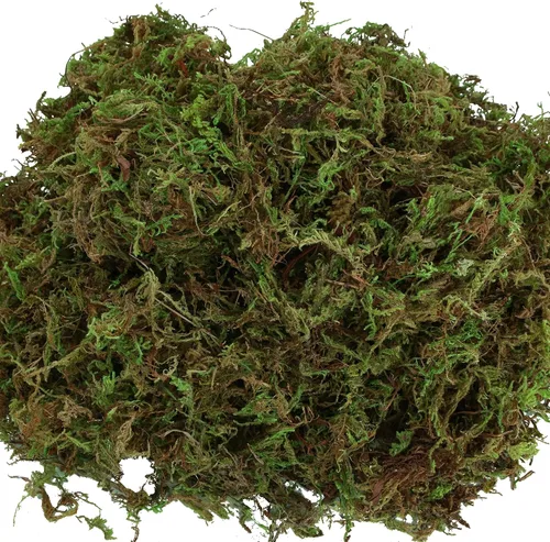 Vista 3 de USMOLA Musgo artificial para plantas de interior, musgo falso de 16 onzas para manualidades, centros de mesa decorativos, jardín de hadas