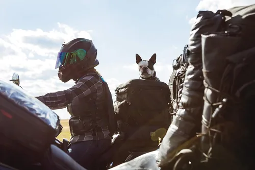 Vista 3 de Kuryakyn 5288 Grand Pet Palace: Transportador portátil resistente al clima para mascotas de motocicleta/gato/perro para portaequipajes o asiento
