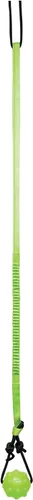 Vista 3 de Jolly Pets Tree Tugger, Green & ChuckIt! Ultra Ball, mediano (paquete de 2)