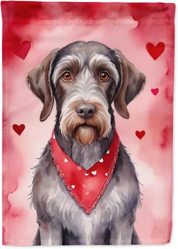 Vista 8 de Caroline's Treasures DAC5252GF Affenpinscher - Bandera de jardín con texto en inglés "My Valentine", bandera decorativa para patio exterior, patio