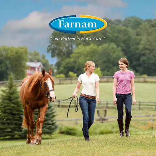 Vista 7 de Farnam Horseshoer's Secret Suplemento de biotina de pezuña y tejido conectivo extra fuerte con aminos para pezuñas fuertes y saludables, tendones