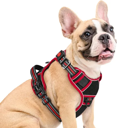 Vista 22 de Eagloo Arnés para perro de tamaño pequeño, fácil de llevar con 3 hebillas, arnés ajustable sin tirones para mascotas con sistema MOLLE, chaleco