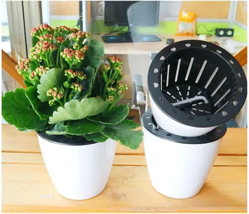 Vista 3 de Maceta de riego automático de 3.5 pulgadas, maceta pequeña de 3 piezas, para todas las plantas, hierbas, violetas africanas, suculentas, flores