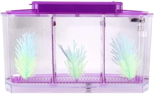 Vista 7 de Acuario pequeño de acrílico de tres áreas, mini pecera, para Betta para peces pequeños (morado)