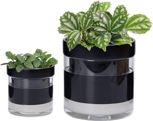 Vista 10 de Phoenix Vine Maceta de riego automático de 4 pulgadas, maceta de arcilla de terracota con depósito de vidrio para plantas de interior, hierbas