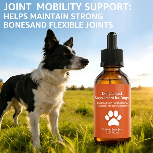Vista 5 de Suplemento de longevidad para perros NAD+ y NMN, liposomal NAD nicotinamida ribósido resveratrol, salud de las articulaciones, vitalidad