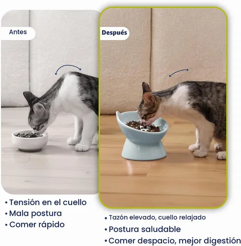 Vista 5 de PawsPik Lynx - Cuenco elevado de cerámica para perros y gatos, color azul Azul cielo