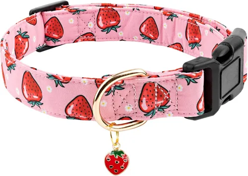 Vista 23 de Faygarsle - Collar de algodón para perros, collar de diseñador para hembras, tamaños pequeños, medianos y grande, diseño de flores con dijes de Beige
