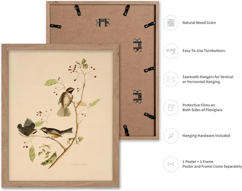 Vista 2 de Poster Master Póster Vintage de Titmouse Canadiense - Impresión Retro de Aves de América - Arte de Aves - Regalo para Hombres, Mujeres y Amantes