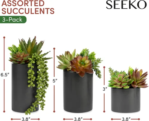 Vista 2 de SEEKO Succulents Plantas artificiales en macetas de cerámica - Plantas