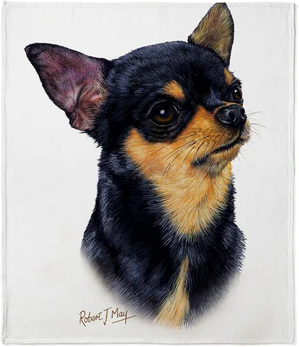 Vista 22 de CafePress