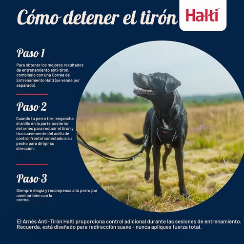 Vista 5 de Arnés Halti Sin Tirones - Detiene a Tu Perro de Tirar de la Correa. Ajustable, Ligero y Fácil de Usar. Arnés Reflectante para Entrenamiento de Negro