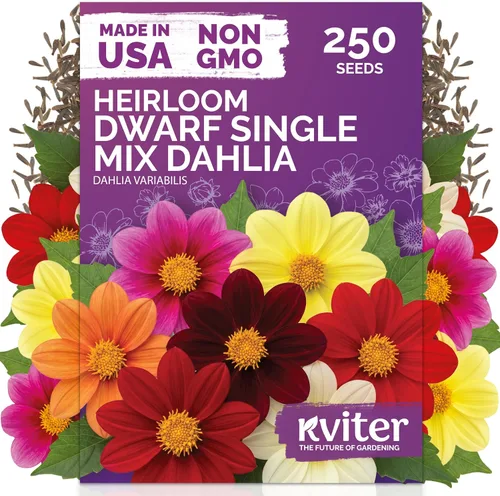 Vista 112 de 500 Ball's Orange Calendula Heirloom Flower Seeds, Calendula Officinalis