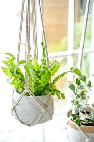 Vista 4 de Dahey Juego de 3 colgadores de macramé para plantas con ganchos, cesta colgante de interior de 35/29/23 pulgadas hecha a mano con cuerda de algodón