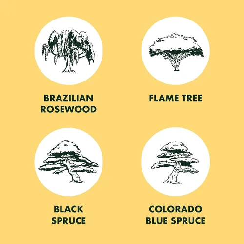 Vista 8 de Kit de principiantes de semillas de árbol Bonsai, Mini juego de cultivo de plantas Bonsai, 4 tipos de semillas, macetas, tijeras de podar