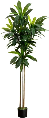 Vista 10 de Nearly Natural Planta de seda Dracaena de 6 pies (tacto real)