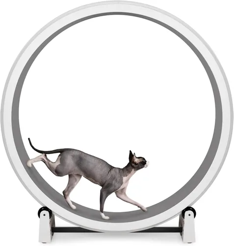 Vista 15 de One Fast Cat - Rueda de ejercicio para gatos, fabricada en los Estados Unidos, 48 pulgadas de diámetro, Gen. 7