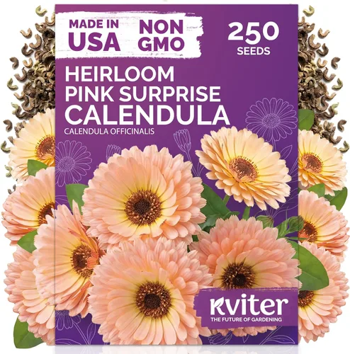Vista 9 de 500 Ball's Orange Calendula Heirloom Flower Seeds, Calendula Officinalis