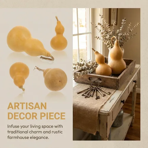 Vista 8 de Toyvian Calabazas Wu Lou secas naturales, 2 piezas de decoración de calabaza pequeña para Feng Shui otoño cosecha de Halloween, centro de mesa