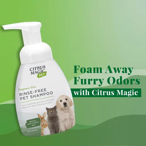 Vista 4 de Citrus Magic Champú para mascotas sin enjuague para mascotas, 8 onzas líquidas