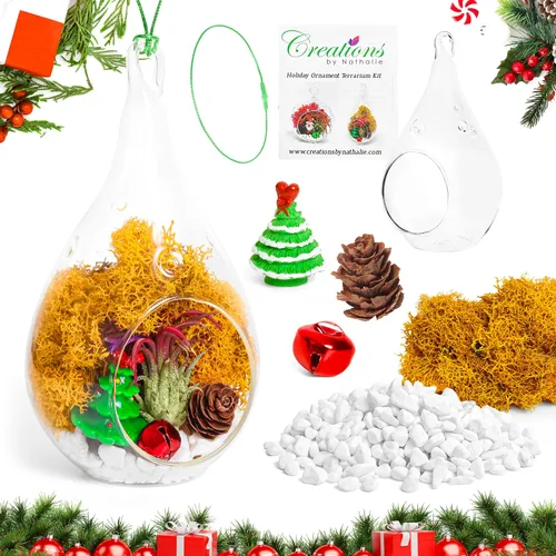 Vista 9 de Creations by Nathalie - Kit de terrario de adorno de Navidad, globo de vidrio de 4 pulgadas, musgo de reno, figura de Navidad- (planta incluida)