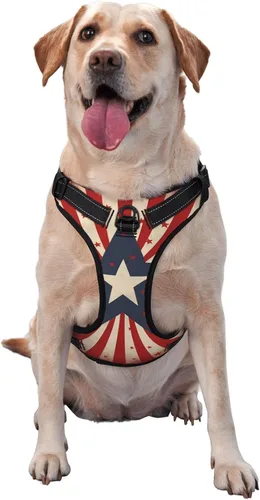 Vista 2 de Arnés de estrella para perros pequeños con correa sin tirones, 2 clips para correa, ajustable, suave, con bandera estadounidense, juego de chaleco