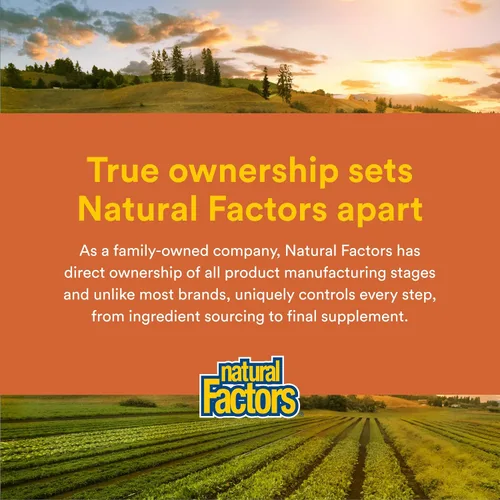 Vista 7 de Natural Factors Regenerlife NMN NAD+ Boost, 500 MG, 30 cápsulas vegetarianas