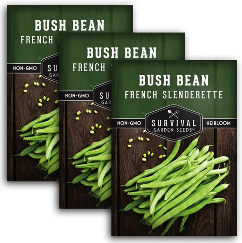 Vista 11 de 1 paquete de semillas de frijol francés Slenderette Bush para plantar con instrucciones para cultivar verts de haricots en tu huerto casero