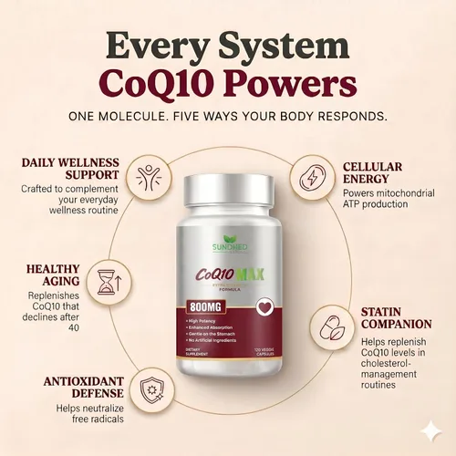 Vista 4 de CoQ10 Potente antioxidante (Cápsulas, 800 mg 120 Cápsulas)