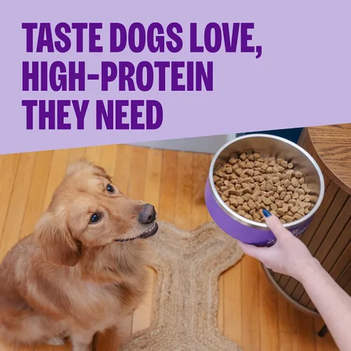 Vista 2 de Wellness CORE Alimento seco para perros, sin granos, alto en proteínas, natural, receta de pato silvestre, cordero, jabalí y conejo