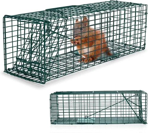 Vista 8 de Qualirey 1 trampa para ardillas humanitarias, resistente para animales vivos, captura y liberación, trampa para ratas para animales pequeños al aire