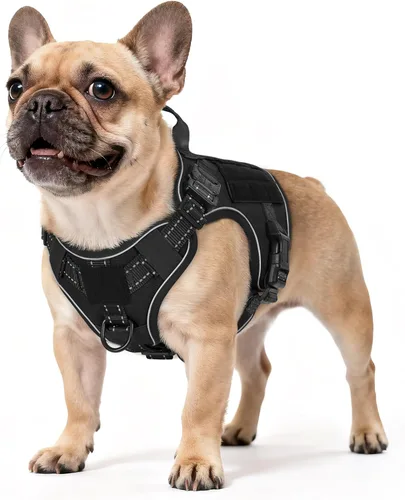 Vista 45 de rabbitgoo - Arnés táctico para perros pequeños, arnés resistente para mascotas con asa, chaleco de servicio sin tirones para razas pequeñas, chaleco
