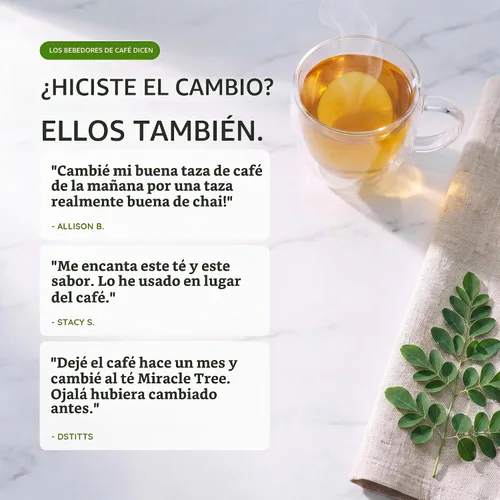 Vista 5 de Miracle Tree 's Energizing Moringa Infusion - Chai Mezcla súper cafeína Alternativa de café saludable, perfecta para concentrarse Certificado