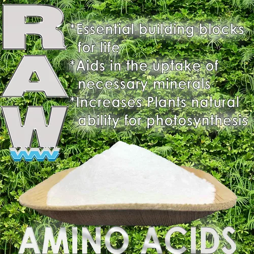 Vista 4 de RAW Aminoácidos: suplemento nutritivo vegetal prémium
