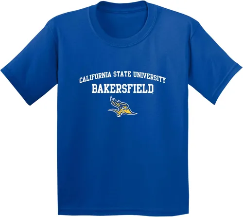Vista 691 de NCAA Arch Logo, camiseta juvenil color del equipo, universidad - universidad