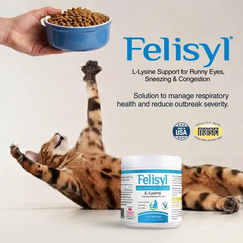 Vista 2 de Felisyl L-lisina gránulos para gatos 3.53 oz (3.5 onzas, 310 porciones) – Apoya la salud inmunológica, respiratoria y ocular. Alivia los estornudos
