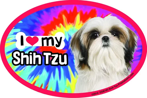Vista 2 de Shih Tzu - Imanes para coche: Shih Tzu Limo a bordo - Oval de 6 x 4 pulgadas para automóvil/camión/refrigerador/buzón