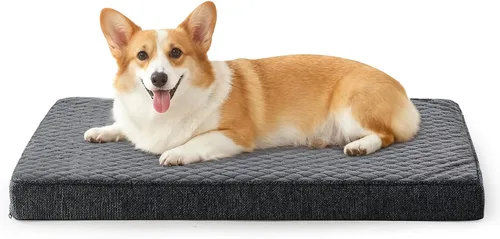 Vista 10 de JOEJOY Cama ortopédica para perros extra grandes