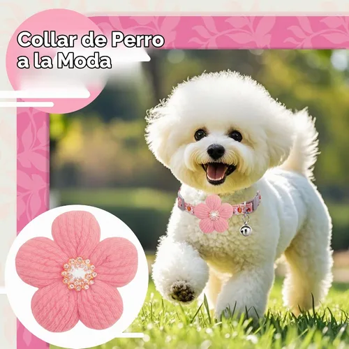Vista 3 de Collar para perro mediano con flor, collares de perro para perros medianos Collar para niña Collar de perro lindo con campana, longitud ajustable