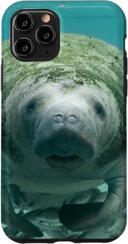 Vista 29 de Manatee Case for iPhone 17