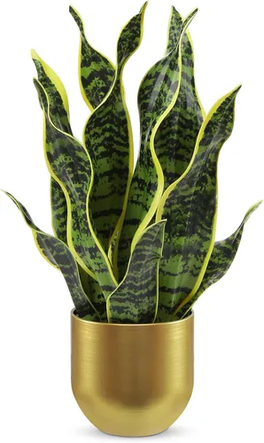 Vista 11 de Hollyone Planta de serpiente falsa de 12 pulgadas, pequeña planta de serpiente artificial en maceta con maceta de cerámica, planta Sansevieria
