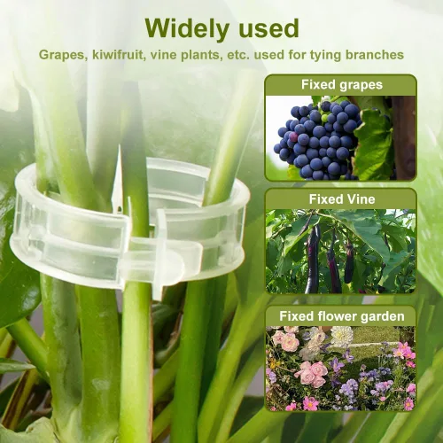 Vista 4 de Clip de plástico seguro para plantas, 50 clips para plantas trepadoras, clips de jardín transparentes para plantas trepadoras, clips de jardín