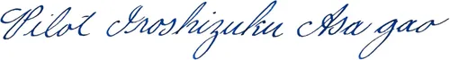 Vista 4 de PILOT Iroshizuku - Tinta para pluma estilográfica embotellada, Asa-Gao, Morning Glory (azul oscuro) botella de 1.7 fl oz (50ml) (69203)